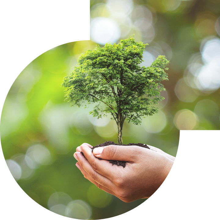 关怀人类、文化、环境与社会